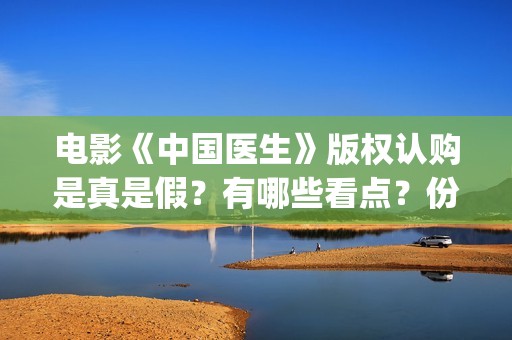 电影《中国医生》版权认购是真是假？有哪些看点？份额多少钱一份？(电影《中国医生》)