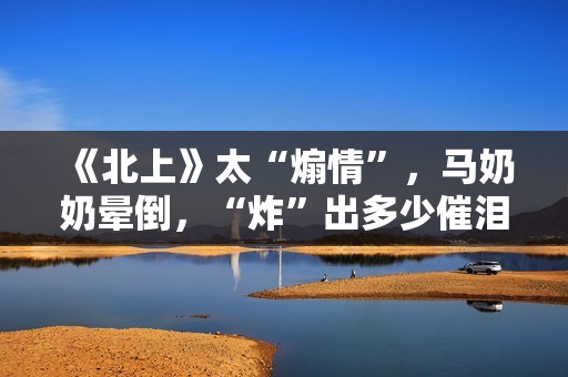 《北上》太“煽情”，马奶奶晕倒，“炸”出多少催泪的高光瞬间？