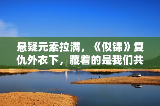 悬疑元素拉满，《似锦》复仇外衣下，藏着的是我们共通的价值证明