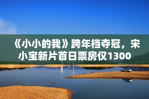 《小小的我》跨年档夺冠，宋小宝新片首日票房仅1300万，回本无望