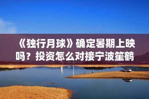 《独行月球》确定暑期上映吗？投资怎么对接宁波笙鹤？(独行月球有女主吗)
