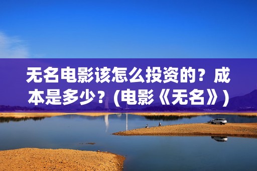 无名电影该怎么投资的？成本是多少？(电影《无名》)