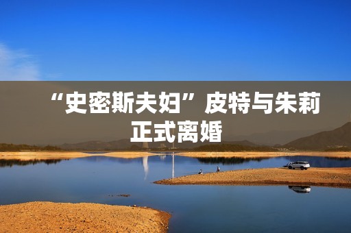 “史密斯夫妇”皮特与朱莉正式离婚