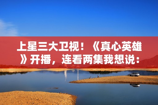 上星三大卫视！《真心英雄》开播，连看两集我想说：这才叫刑侦剧