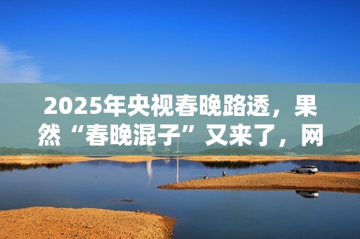 2025年央视春晚路透，果然“春晚混子”又来了，网友：有他就不看