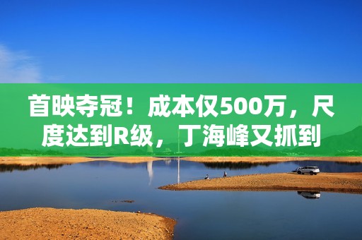 首映夺冠！成本仅500万，尺度达到R级，丁海峰又抓到动作片王炸？