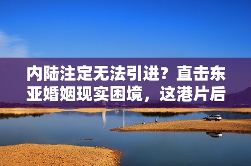 内陆注定无法引进?直击东亚婚姻现实困境,这港片后劲十足 内陆注定无法引进?直击东亚婚姻现实困境,这港片后劲十足