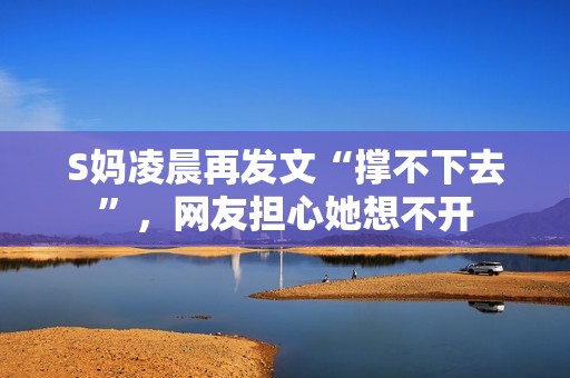 S妈凌晨再发文“撑不下去”，网友担心她想不开