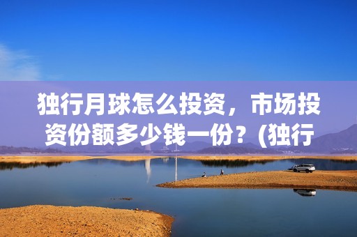 独行月球怎么投资，市场投资份额多少钱一份？(独行月球投资方)