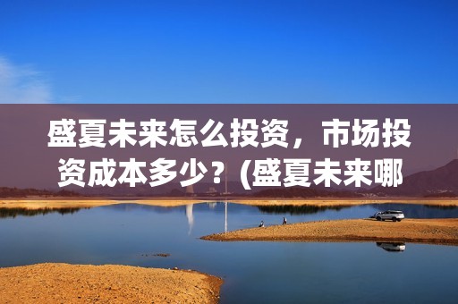 盛夏未来怎么投资，市场投资成本多少？(盛夏未来哪个平台)