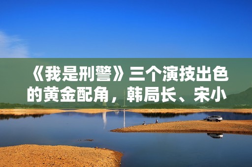《我是刑警》三个演技出色的黄金配角，韩局长、宋小军、白玲
