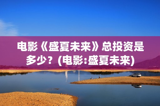 电影《盛夏未来》总投资是多少？(电影:盛夏未来)