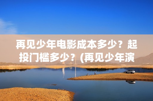 再见少年电影成本多少？起投门槛多少？(再见少年演的啥)