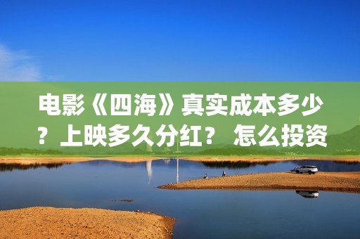 电影《四海》真实成本多少？上映多久分红？ 怎么投资？(电影《四海》真名叫什么)