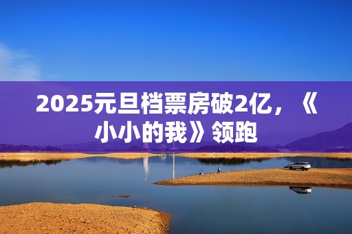 2025元旦档票房破2亿，《小小的我》领跑