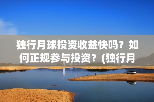 独行月球投资收益快吗？如何正规参与投资？(独行月球什么时候上映)