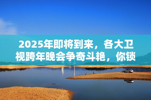 2025年即将到来,各大卫视跨年晚会争奇斗艳,你锁定哪一家? 2025年即将到来,各大卫视跨年晚会争奇斗艳,你锁定哪一家?