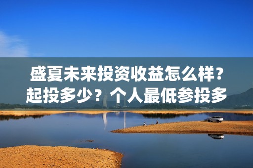 盛夏未来投资收益怎么样？起投多少？个人最低参投多少？(盛夏未来总投资)