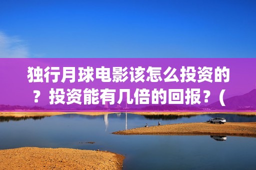 独行月球电影该怎么投资的？投资能有几倍的回报？(独行月球什么时候上映)