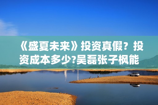 《盛夏未来》投资真假？投资成本多少?吴磊张子枫能吸多少票房？(《盛夏未来》上映)