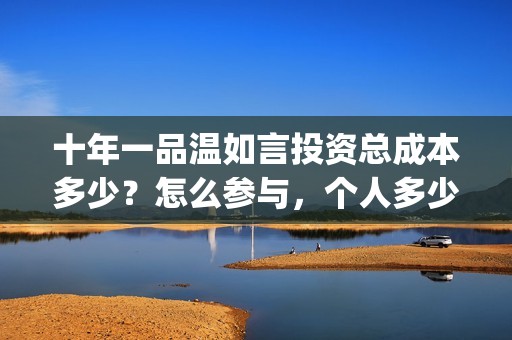 十年一品温如言投资总成本多少？怎么参与，个人多少起投？(十年一品温如言电影)