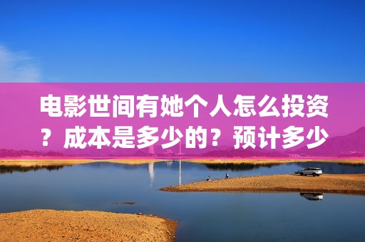 电影世间有她个人怎么投资？成本是多少的？预计多少票房？(世间有她电影现在什么情况)