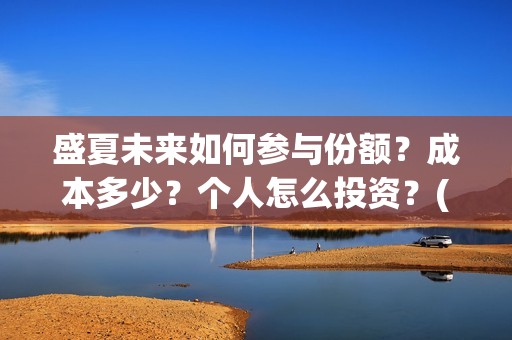 盛夏未来如何参与份额？成本多少？个人怎么投资？(盛夏未来怎样)