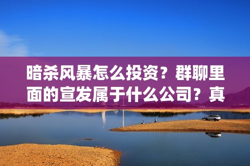 暗杀风暴怎么投资？群聊里面的宣发属于什么公司？真实吗？(暗杀风暴拍摄时间)