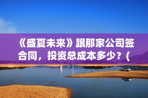 《盛夏未来》跟那家公司签合同，投资总成本多少？(盛夏未来同款)