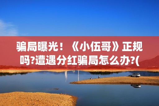 骗局曝光！《小伍哥》正规吗?遭遇分红骗局怎么办?(小型骗局)