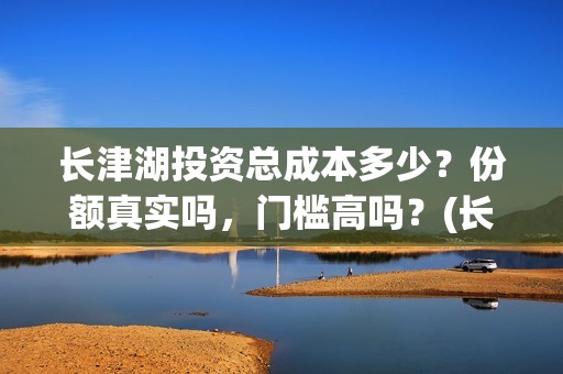 长津湖投资总成本多少？份额真实吗，门槛高吗？(长津湖投资规模)