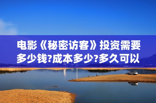 电影《秘密访客》投资需要多少钱?成本多少?多久可以分红?(解读电影秘密访客)