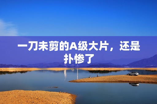 一刀未剪的A级大片，还是扑惨了