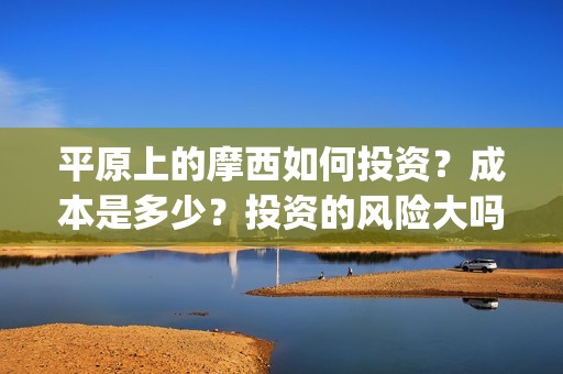 平原上的摩西如何投资？成本是多少？投资的风险大吗？(平原上的摩西解读)