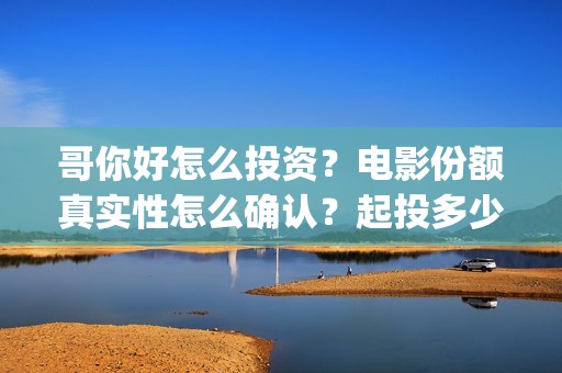 哥你好怎么投资？电影份额真实性怎么确认？起投多少？(你好哥哥)