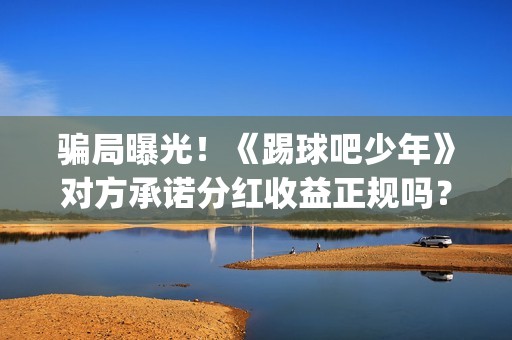 骗局曝光！《踢球吧少年》对方承诺分红收益正规吗？交钱进去被骗怎么办？(网络用语踢是什么意思)