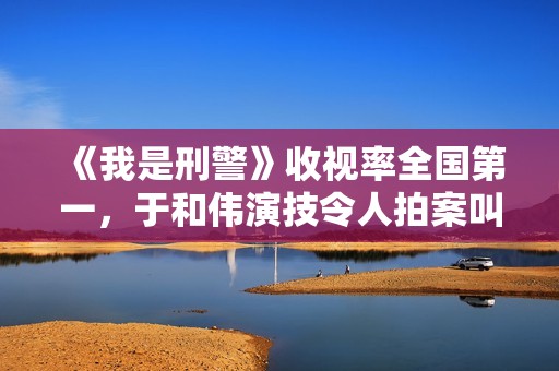 《我是刑警》收视率全国第一，于和伟演技令人拍案叫绝