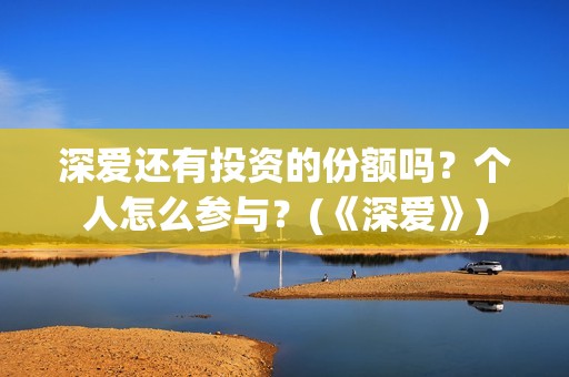 深爱还有投资的份额吗？个人怎么参与？(《深爱》)