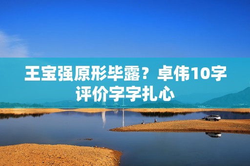 王宝强原形毕露？卓伟10字评价字字扎心