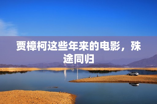 贾樟柯这些年来的电影，殊途同归