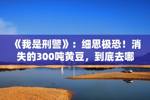 《我是刑警》：细思极恐！消失的300吨黄豆，到底去哪儿了？