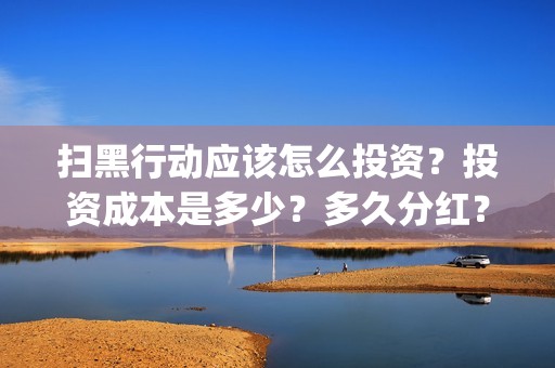 扫黑行动应该怎么投资？投资成本是多少？多久分红？(扫黑行动应该怎么拍摄的)