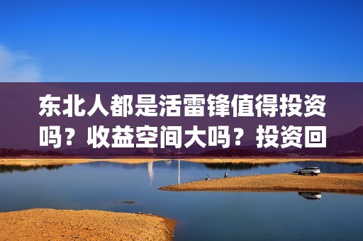 东北人都是活雷锋值得投资吗？收益空间大吗？投资回报率多少？(东北人都是活雷锋电视剧)