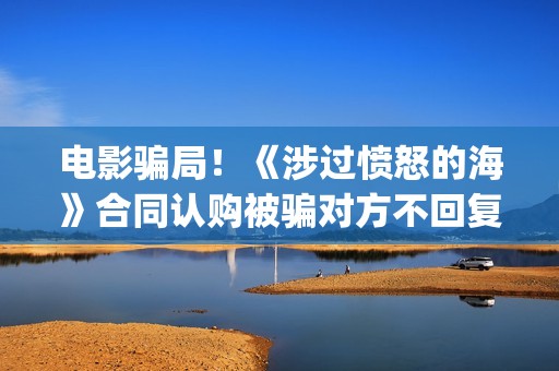 电影骗局！《涉过愤怒的海》合同认购被骗对方不回复怎么办？怎么追回资金？(电影诈骗案件立案后公安会怎么处理)