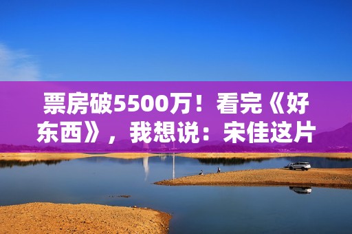 票房破5500万！看完《好东西》，我想说：宋佳这片真是“好东西”