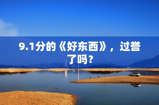 9.1分的《好东西》，过誉了吗？