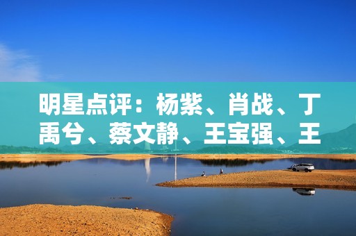 明星点评：杨紫、肖战、丁禹兮、蔡文静、王宝强、王鹤棣