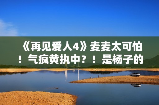 《再见爱人4》麦麦太可怕！气疯黄执中？！是杨子的“救世主”！