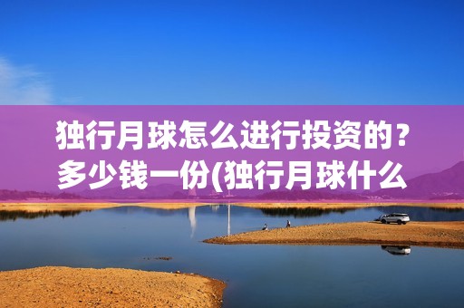 独行月球怎么进行投资的？多少钱一份(独行月球什么时候杀青)