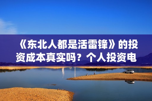 《东北人都是活雷锋》的投资成本真实吗？个人投资电影如何保障收益？(东北人都是活雷锋雪村mv)